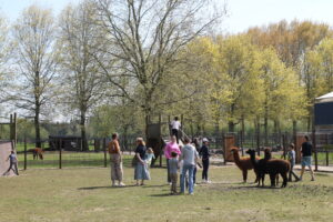 Struisvogels, pannenkoeken en lachende gezichten